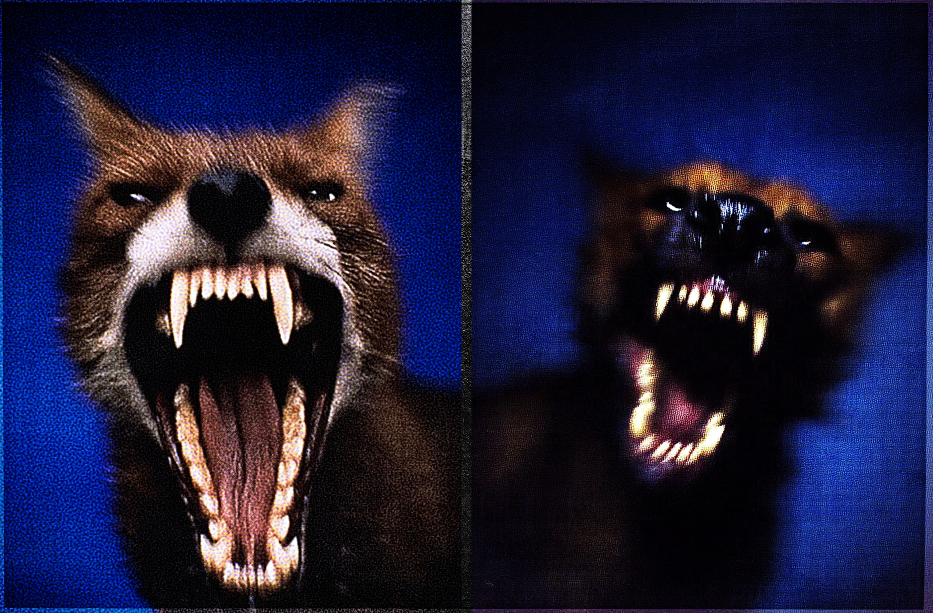 Steppe animal portrait 03