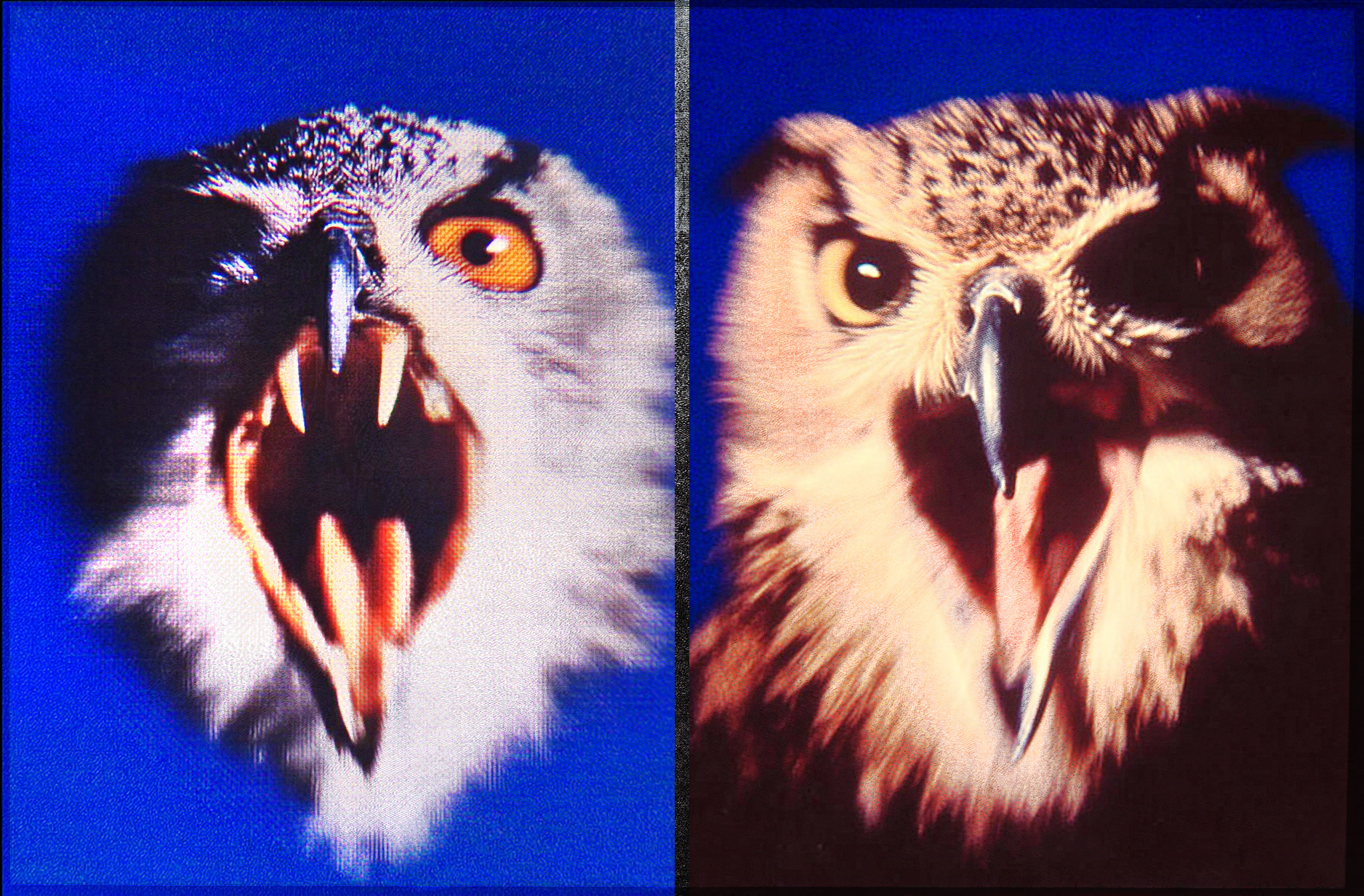 Steppe animal portrait 05